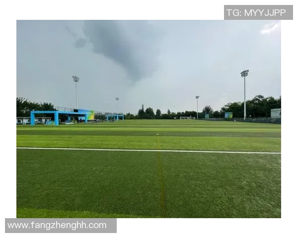 杭州飞盘队比赛经验分享与提升策略探讨之旅